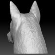 9.jpg German Shepherd head for 3D printing