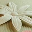 03b.jpg flowers: Aster - 3D printable model