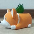 e80356ee-addc-4059-af92-e60249e434b5.jpg Planter corgi, dog, flower pot