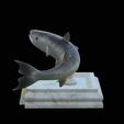 Barracuda-huba-trophy-5.png fish great barracuda statue detailed texture for 3d printing