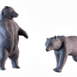 02.png Bear LowPoly