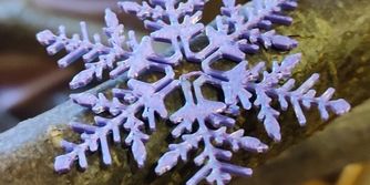 Christmas decoration