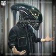 z5363073423748_42148b966a1b2558905c8925b6dd2fa9.jpg Alien Xenomorph Head Decor Wearable Cosplay