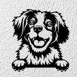 Sin-título.jpg brittany dog wall decoration wall mural pet picture dog deco wall house Pet