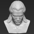 14.jpg Geralt of Rivia The Witcher Cavill bust 3D printing ready