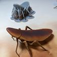 Wall-E Roach