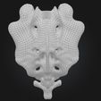 4.jpg 3D Model of Sacrum