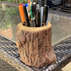 pic5.JPG Tree Stump Pen holder