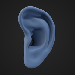 EarModel_1.png STL file Human Ear・3D printer design to download