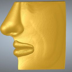 face-nose-01-000.jpg Free STL file original Bas-relief real 3D Relief Wall-mount For CNC building decor for decoration room and house fn-01 3d print・3D printer design to download
