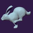 04.jpg running rabbit