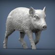small-boar3.jpg Small boar 3D print model