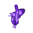 atrial_septal_defectaorta.stl 3D Model of Heart with Atrial Septal Defect