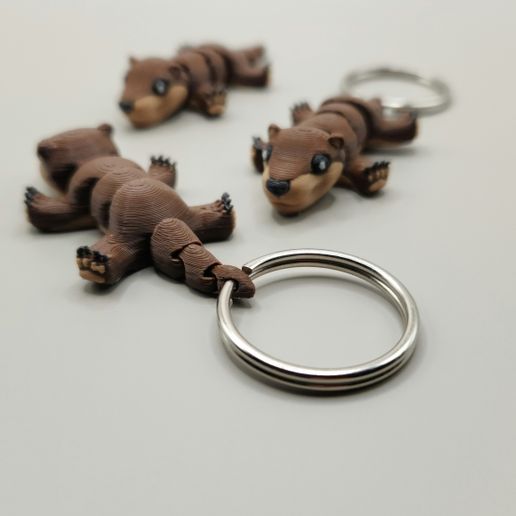 20250117_184222.jpg Winziger Otter