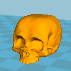 crane.PNG Free STL file human skull・3D printing template to download