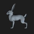 rabbit1.jpg Rabbit - realistic rabbit