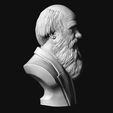 09.jpg Charles Darwin portrait sculpture 3D print model