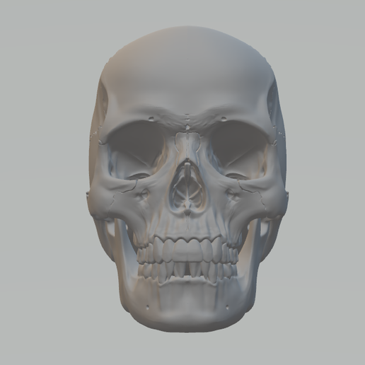 Skull
