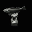 peacock-bass-trophy-3-1-2-26.png Peacock bass (Cichla ocellaris) fish trophy cup 2 for 3d printing