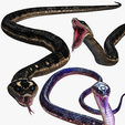 portada0.png DOWNLOAD VIPER 3D MODEL - DINOSAUR - MYTHOLOGICAL - FIHS - PYTHON - reptile - snake - ANIMATED - FOR 3DS MAX - BLENDER 3 FILE - UNITY - UNREAL - CINEMA 4D - FBX - OBJ - MAYA