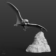 Anurognathus-pin-rock.jpg Anurognathus ammoni, tiny pterosaur