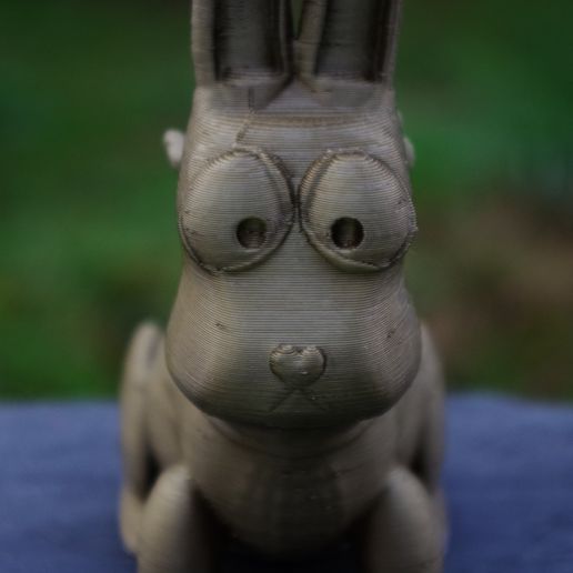 IMGP3039.JPG Милый кролик