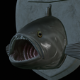 White-grouper-head-trophy-23.png fish head trophy white grouper / Epinephelus aeneus open mouth statue detailed texture for 3d printing