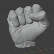 Rhand1.png Realist hand fist - Realist hand fist