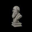 22.jpg Charles Darwin portrait sculpture 3D print model