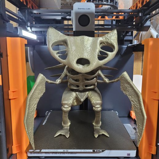 20240430_082823.jpg FOSSILE DE KABUTOPS MODÈLE IMPRIMÉ EN 3D