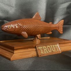 IMG_7490.jpg fish sculpture of a trout with storage space for 3d printing