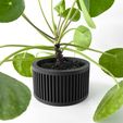 misprint-8294.jpg The Paxon Planter Pot with Drainage | Modern and Unique Home Decor for Plants and Succulents  | STL File