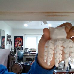 laxapus-1-1.jpg Archivo STL gratis para un máximo de 2・Diseño de impresora 3D para descargar