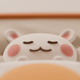 rabbit_2.png Sommeil du lapin