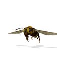 0_00009.jpg DOWNLOAD BEE 3D Model BEE - Obj - FbX - 3d PRINTING - 3D PROJECT - BLENDER - 3DS MAX - MAYA - UNITY - UNREAL - CINEMA4D - BEE GAME READY - POKÉMON - RAPTOR