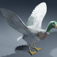 0001.png Photorealistic duck - posable/rigged [stl file included ]