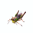 png5.png DOWNLOAD Grasshopper 3D MODEL - ANIMATED - INSECT Raptor Linheraptor MICRO BEE FLYING - POKÉMON - DRAGON - Grasshopper - OBJ - FBX - 3D PRINTING - 3D PROJECT - GAME READY-3DSMAX-C4D-MAYA-BLENDER-UNITY-UNREAL - DINOSAUR -