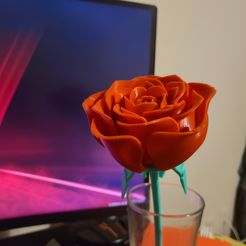 ROSE Mechanisierte Knickblume