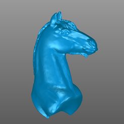 1.jpg horse's head