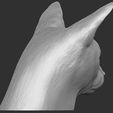 7.jpg Abyssinian cat head for 3D printing
