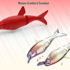 STL file Bluntnose Minnow Swimbait Soft Plastic Fishing Molds 🎣・3D  printable model to download・Cults
