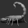 15.png Scorpion