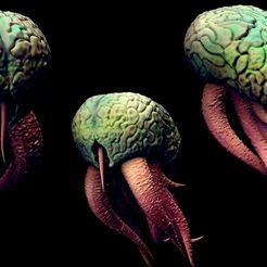 color.jpg Archivo STL Error cerebral・Objeto imprimible en 3D para descargar