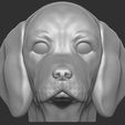 3.jpg Puppy of Beagle dog head for 3D printing