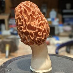 painted1.jpg OBJ file Lifelike Morel Mushroom Set of Three・3D printer model to download