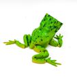 flexi-creeper-toad-3D-MODEL-3.jpg MINECRAFT Flexi Creeper Toad Frog articulated print-in-place no supports