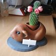 ac60c911cd98543e4ea5daef91ce11b7_display_large.jpg Pot de fleur de cobaye - pot de fleurs cochon d'inde
