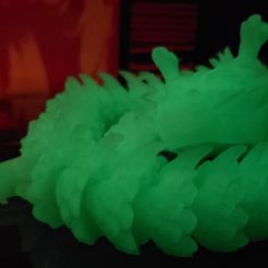 Articulated Dragon, Anderson_3D_Printing