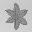 wf0.jpg Lotus 6 leaves rosette onlay relief 3D print model