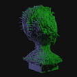 vid0353.png Alien Insectoid Bust
